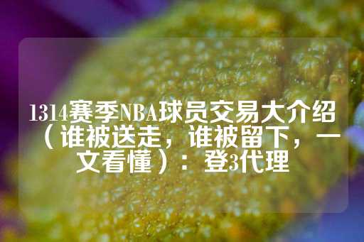 1314赛季NBA球员交易大介绍（谁被送走，谁被留下，一文看懂）：登3代理