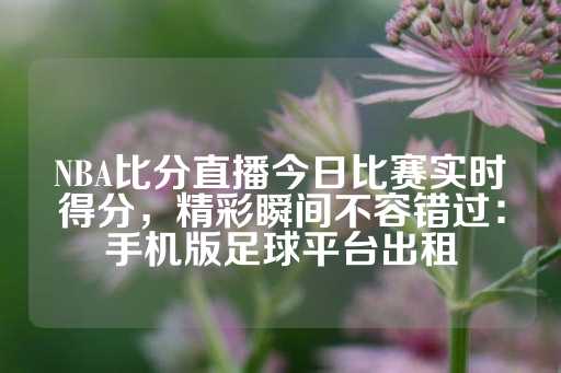 NBA比分直播今日比赛实时得分，精彩瞬间不容错过：手机版足球平台出租