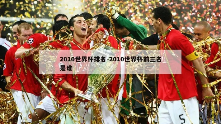 2010年世界杯双德 2010年世界杯排名结果-第2张图片-www.211178.com_果博福布斯